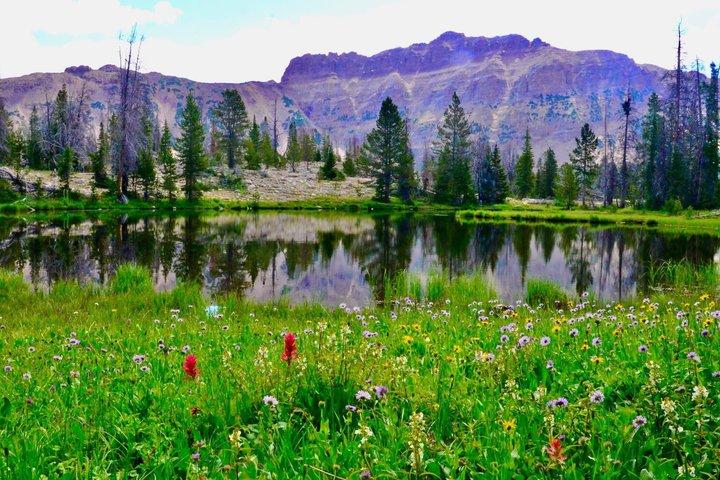 Mirror Lake og Uinta Mountains Halvdagstur fra Park City