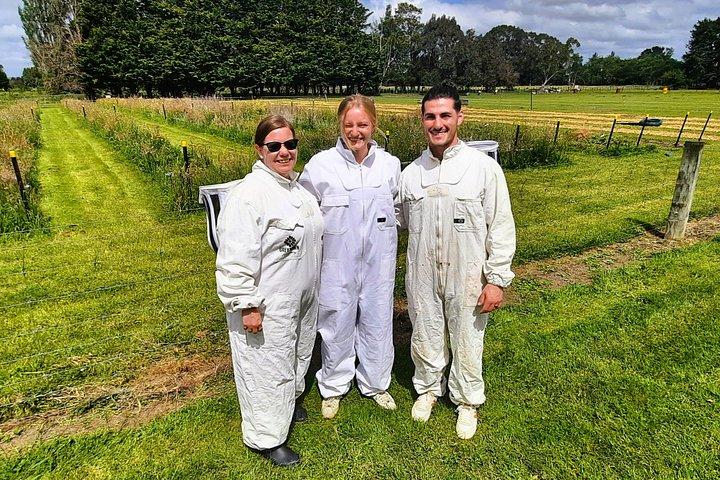 Greytown Discovery Taste Shop and Explore from Wellington