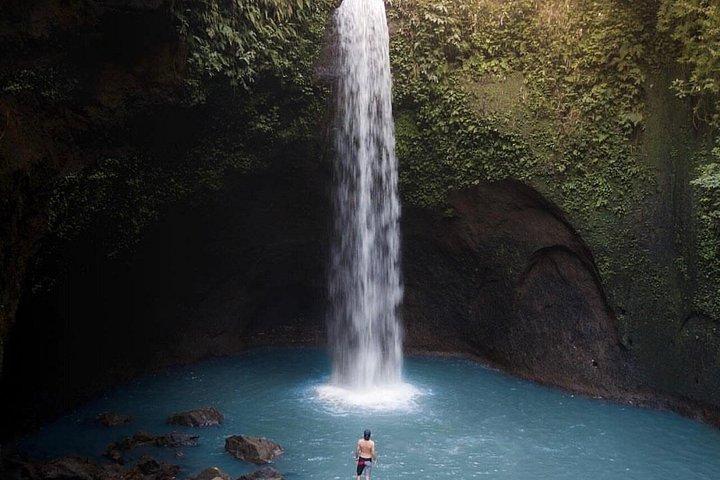 Tour privato delle attrazioni di Ubud
