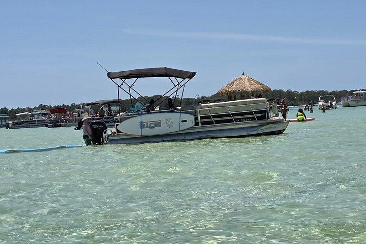 Diversão na Ilha do Caranguejo com Lily Pad e Mais