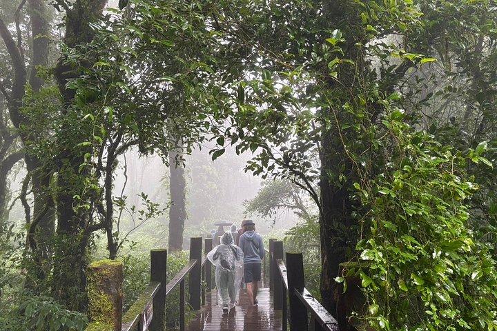 トレッキングとパゴダを含むドイ インタノン国立公園の 1 日ツアー