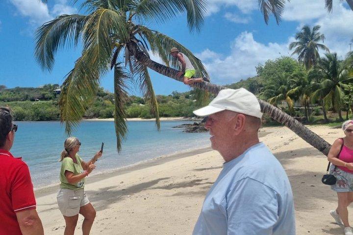 Antigua Beach Hopping Tour Visit 4 Stunning Beaches with Drinks