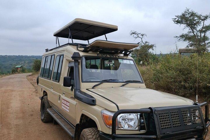 4x4ランドクルーザーでのプライベートアンボセリ日帰りツアー