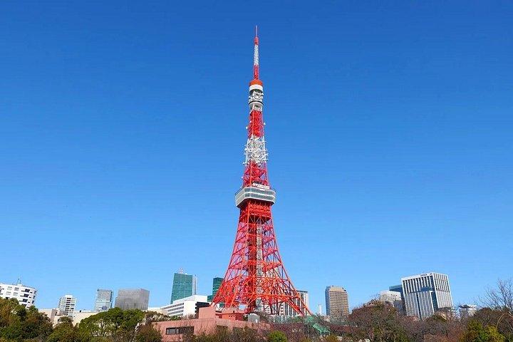 東京で8時間のプライベートガイドツアーと寿司作り体験