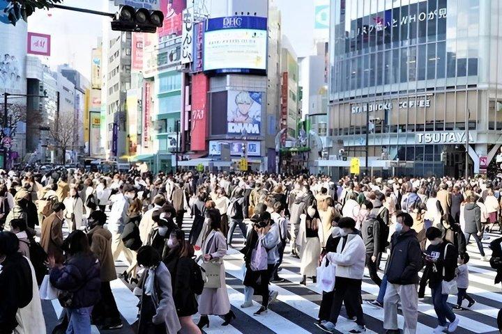 東京で8時間のプライベートガイドツアーと寿司作り体験