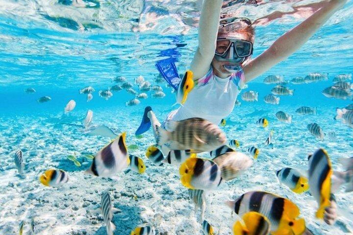 Mun Island Nha Trang snorkeling com recife de coral e BBQ almoço
