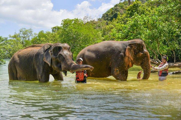 プーケット・ジェットスキー7島と象の飼育キャンプ