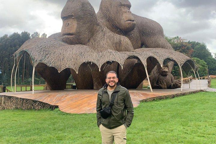 One Day Rwanda Gorilla Trekking Tour
