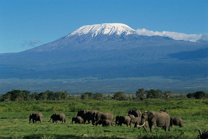 Restauranger i närheten av Amboseli Safari Elephants, Kilimanjaro Maasai Village