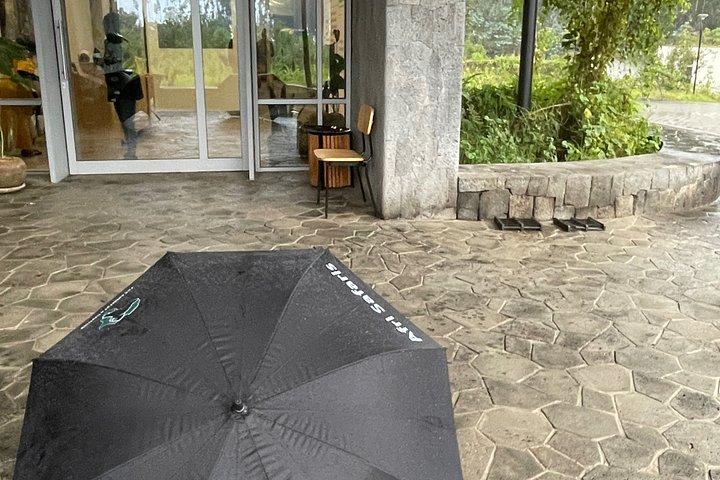 One Day Rwanda Gorilla Trekking Tour