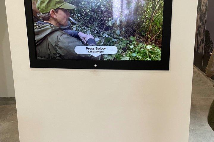 One Day Rwanda Gorilla Trekking Tour