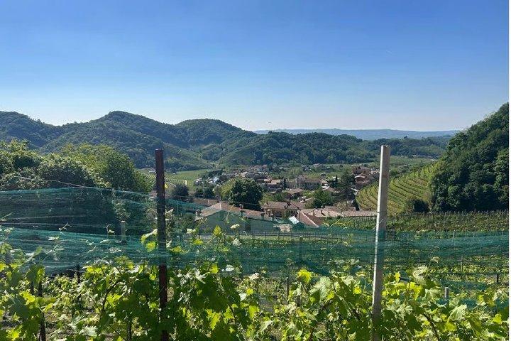 Experimente Prosecco Hills com vinho e comida de Veneza