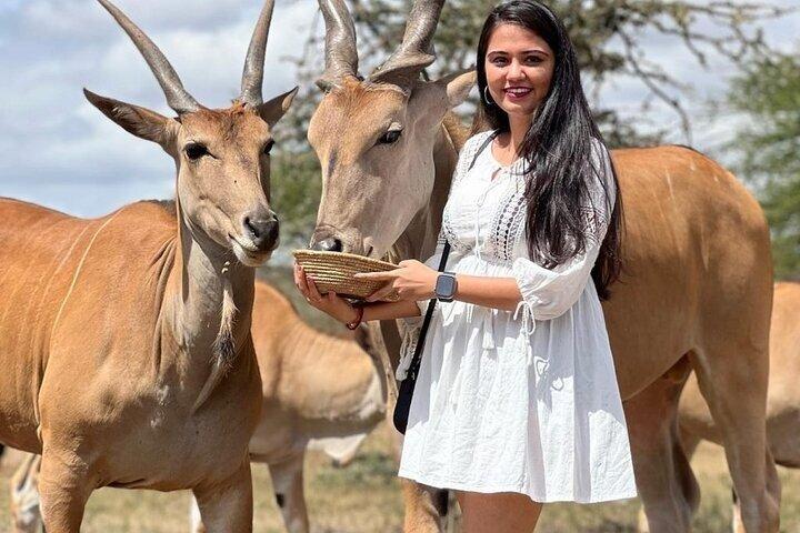 Serval Wildlife Day viagem de Arusha