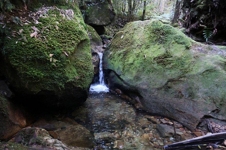 Blue Mountains Private Tour | Beyond the Three Sisters