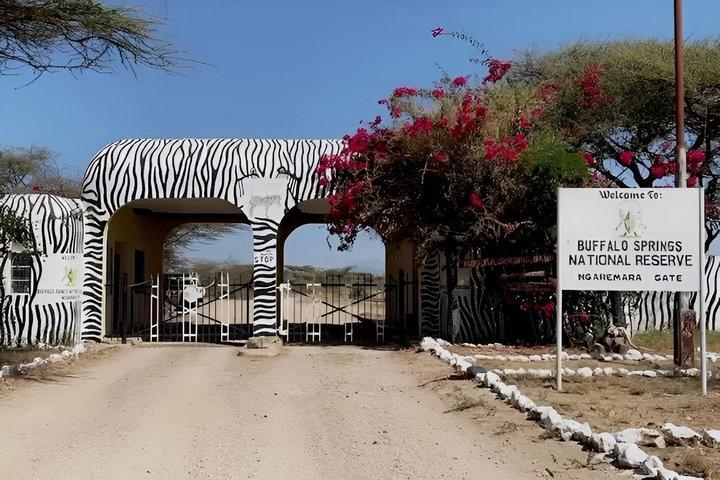 Monte Ololonkwe y Buffalo Springs