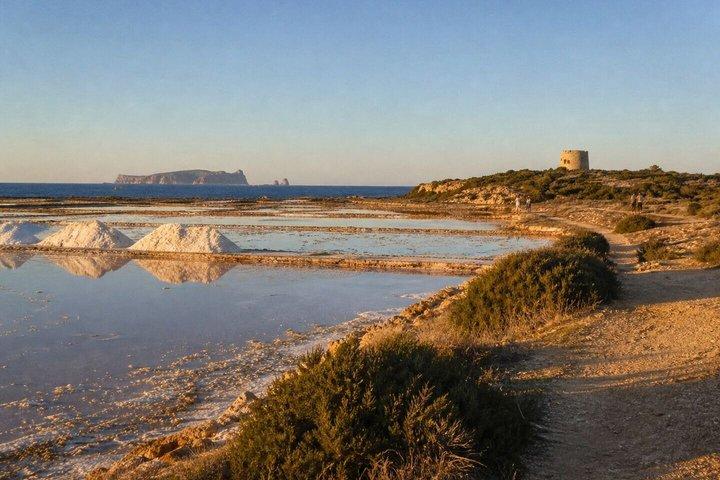 ディスカバー・イビサ：究極のセルフガイド島ツアー