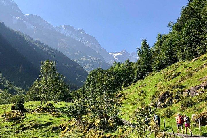 Esperienza escursionistica guidata a Mürren Grindelwald e Interlaken