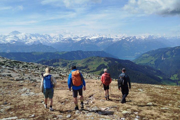 Esperienza escursionistica guidata a Mürren Grindelwald e Interlaken