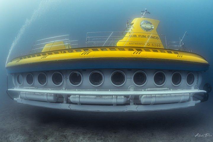 ロス・ヒガンテスピックアップ付きテネリフェ海底ツアー