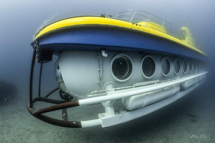 ロス・ヒガンテスピックアップ付きテネリフェ海底ツアー