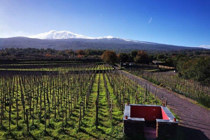 From Taormina Etna tour and stop at ancient Palmento