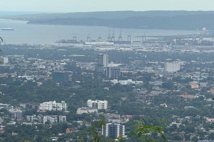 Blue Mountain Hiking and Coffee Tour