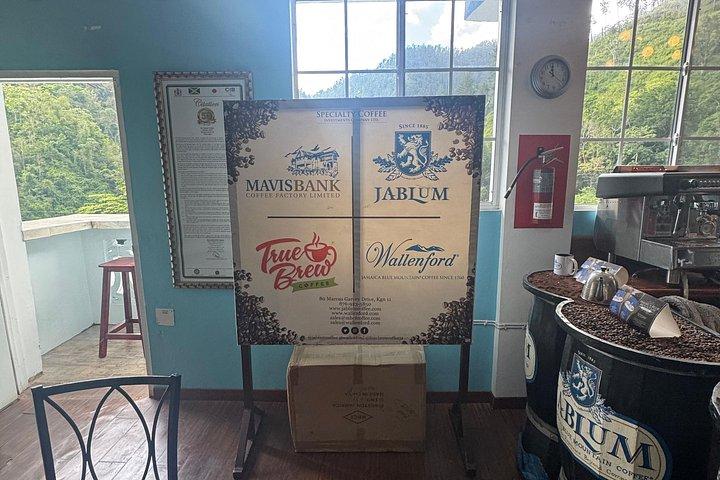 Blue Mountain Hiking and Coffee Tour