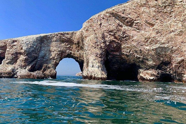 リマ発ワカチナとバリェスタス島ツアー（ピスコ・テイスティング付き）