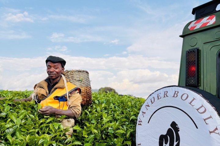 1 - giorno Nyungwe N.P Adventure : Passeggiata con baldacchino e zipline inclusi