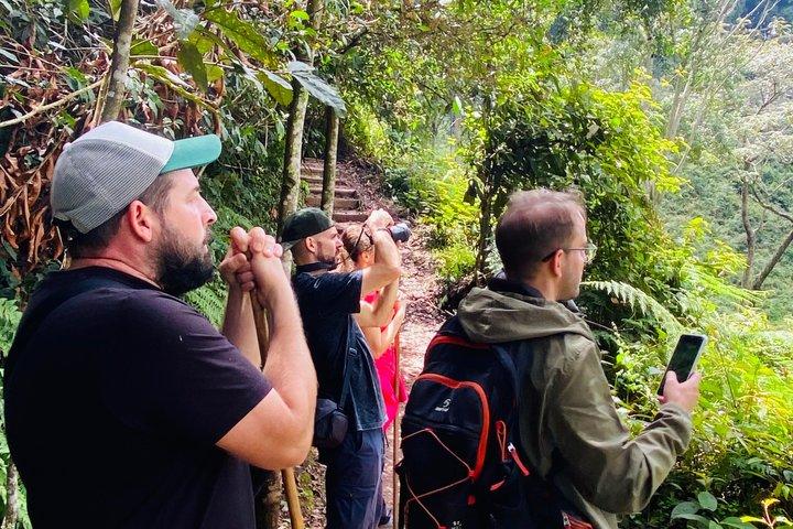 1 - giorno Nyungwe N.P Adventure : Passeggiata con baldacchino e zipline inclusi