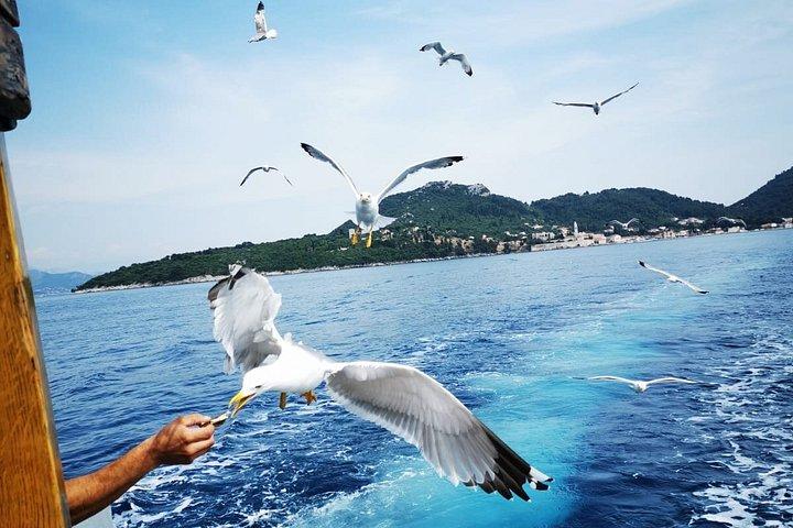 ドゥブロブニク・エラフィティ諸島クルーズ（ランチ、ドリンク、スイム付き）