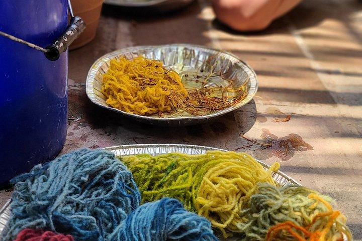 Hands-on Weaving Experience with Natural Dyes in Oaxaca