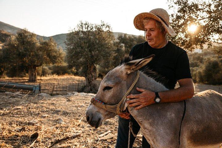Naxos : Halvdagskurs i matlagning på Basiliko Farm