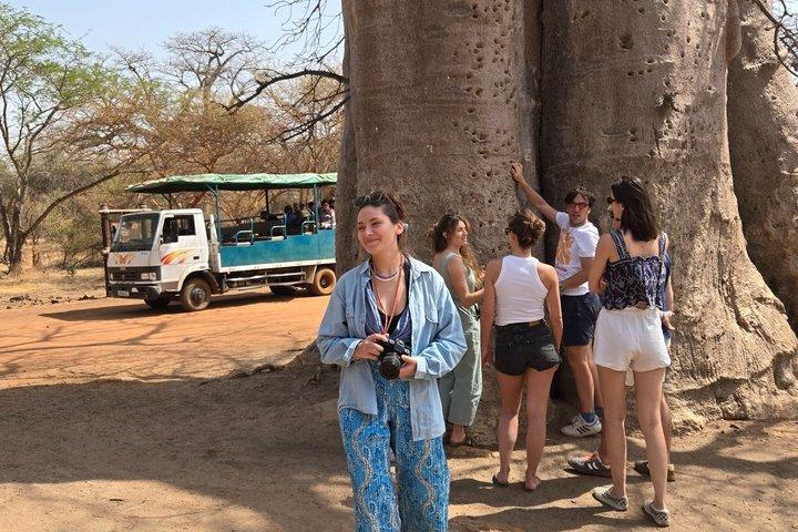 Excursion to Bandia Reserve