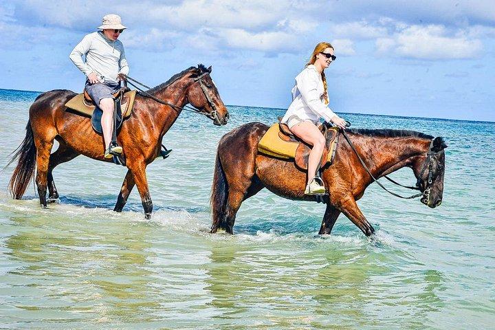 Horseback Riding from Montego Bay