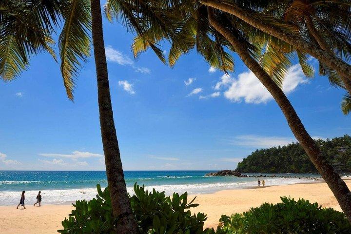 Private Transfer from Colombo International Airport to Mirissa