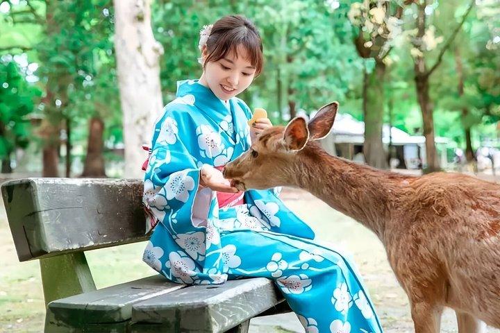 Excursión en autobús a Kyoto Osaka Nara Fushimi Inari Taisha Arashiyama