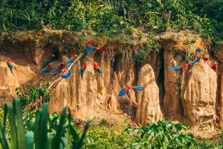 Manu Cultural Zone 4 Day Adventure in the Amazon