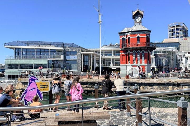 Visite de Table Mountain et Robben Island avec billets réservés à l'avance