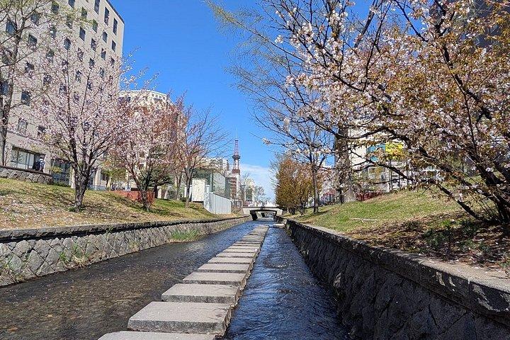 Sapporo City Stroll with Local Guide Ken-san!