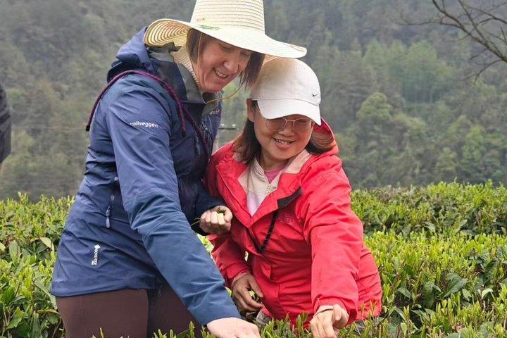 Zhangjiajie Glass Bridge & Tea Garden Tour