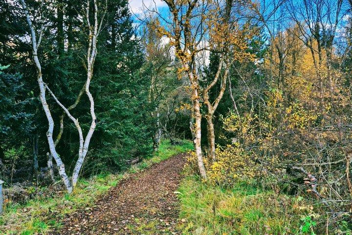 Svarfadadalur Private E MTB Tour