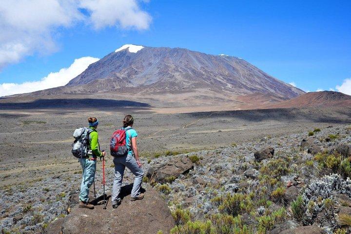 Hoteller i nærheden af Mount Kilimanjaro Private Day Hike Experience from Moshi