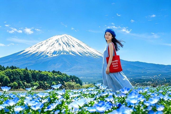東京から : 富士山 6つの見どころ : 河口湖、忍野八海