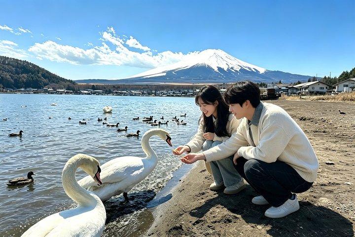 富士山インスタ映えスポット＆鉄道体験日帰りツアー