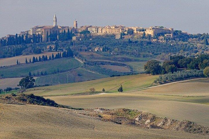 Tour privato Vino e formaggio una combinazione perfetta val' Orcia