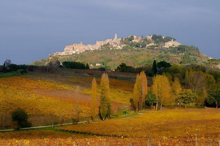 Privérondleiding Wijn en kaas een perfecte combinatie val 'Orcia