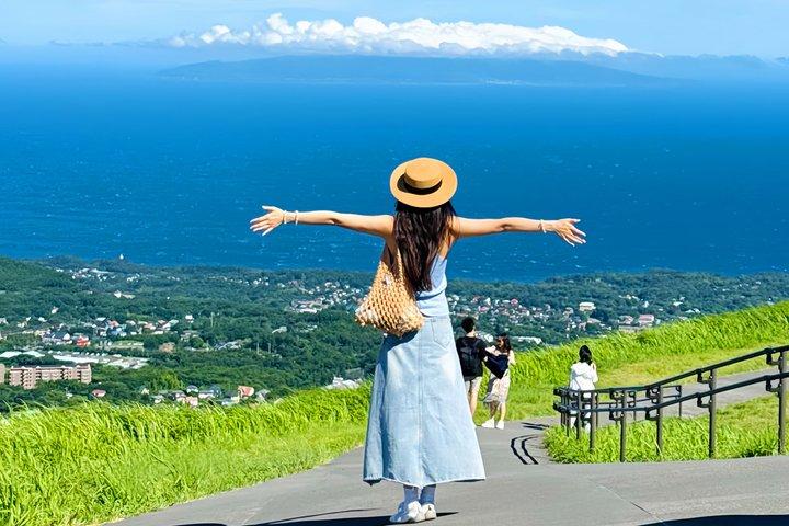 Izu Small Group : Ocean-View Train, Monte Omuro e Costa