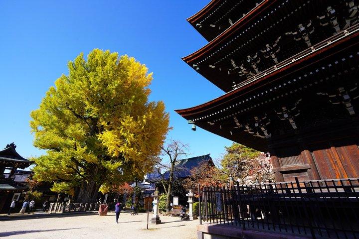 英語を話すガイド付き半日高山ウォーキングツアー