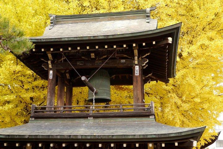 英語を話すガイド付き半日高山ウォーキングツアー